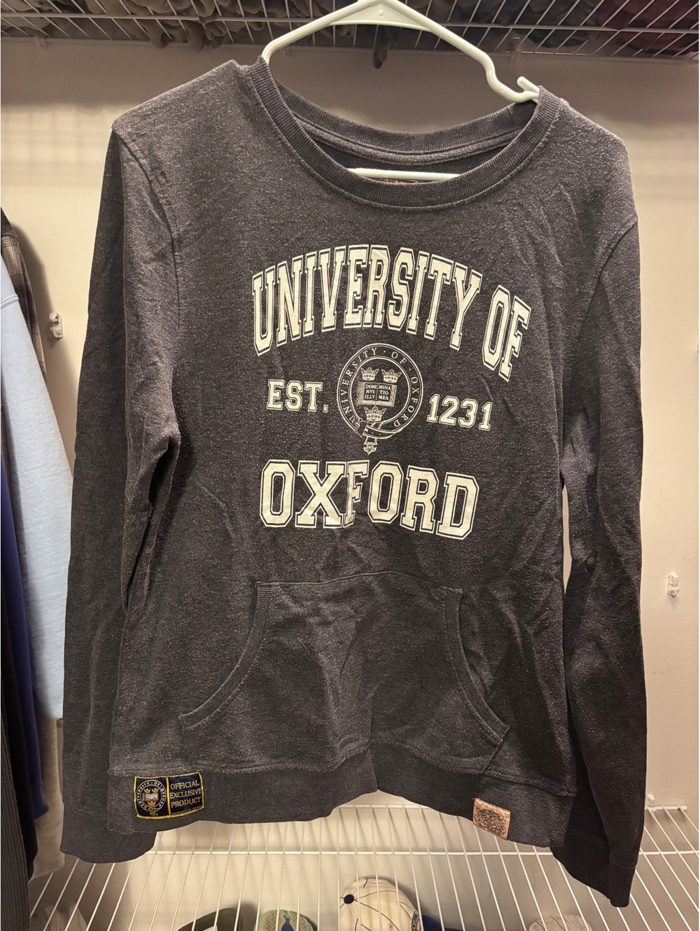 University of Oxford Official Exclusive Gray Pullover Sweat-